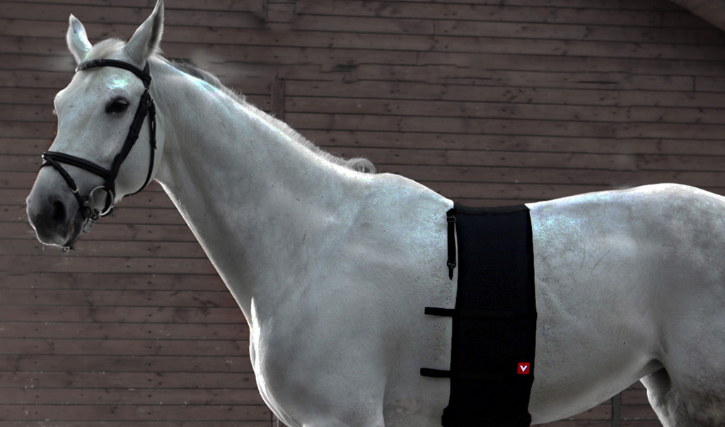 kompresivní bandáže pro koně vetoflex bandage