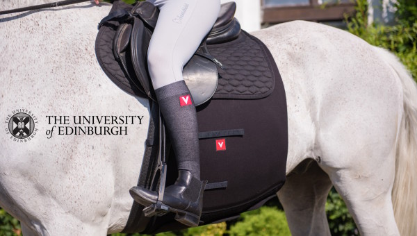 VETOFLEX becomes an official supplier for The Dick Vet Equine Hospital, University of Edinburgh