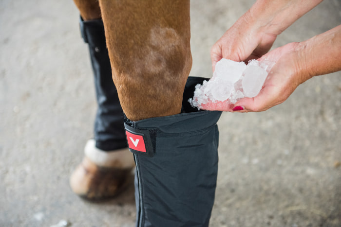 kompresivní bandáže pro koně vetoflex bandage classic ice