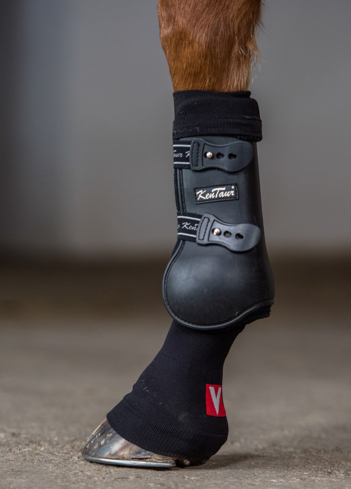 Bandages for horses VETOFLEX Bandage Leon